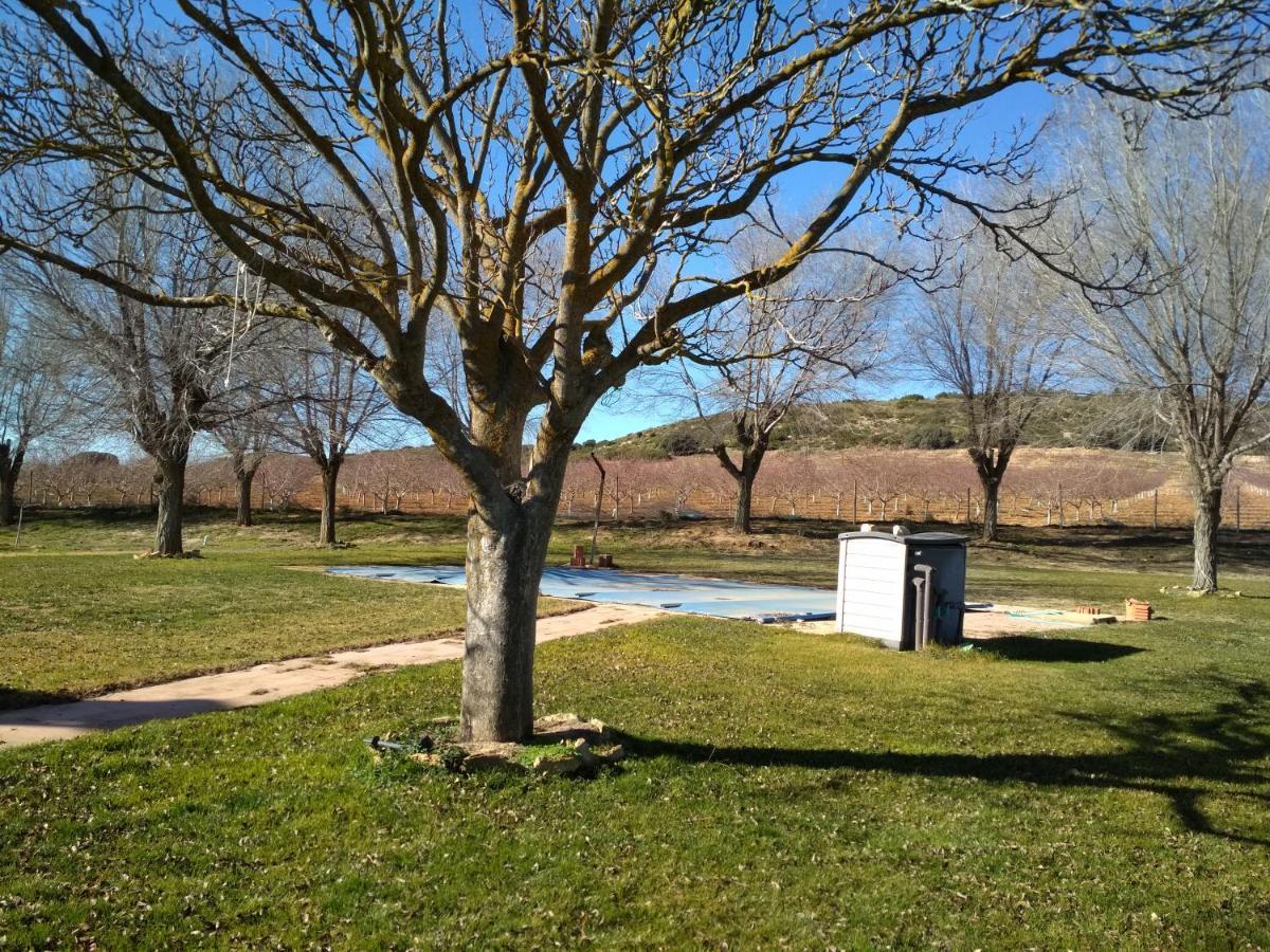 צ'ינצ'ייה דה מונטה אראגון Casa Rural La Galana Albacete מראה חיצוני תמונה
