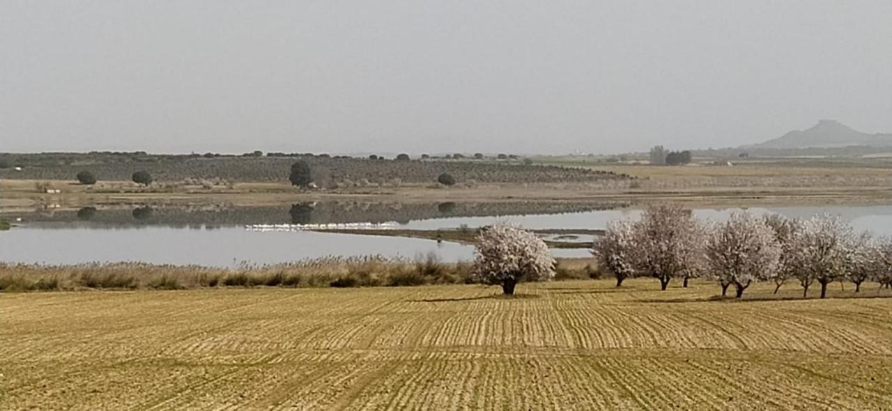 צ'ינצ'ייה דה מונטה אראגון Casa Rural La Galana Albacete מראה חיצוני תמונה