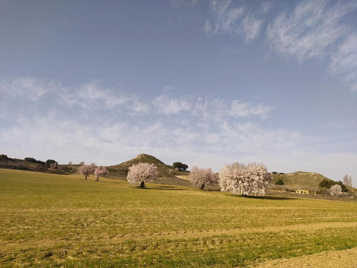 צ'ינצ'ייה דה מונטה אראגון Casa Rural La Galana Albacete מראה חיצוני תמונה